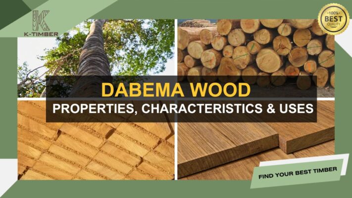 dabema-wood-properties-characteristics-uses-1