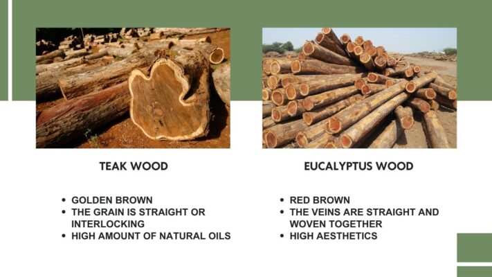 teak-vs-eucalyptus-wood-a-comprehensive-comparison-5