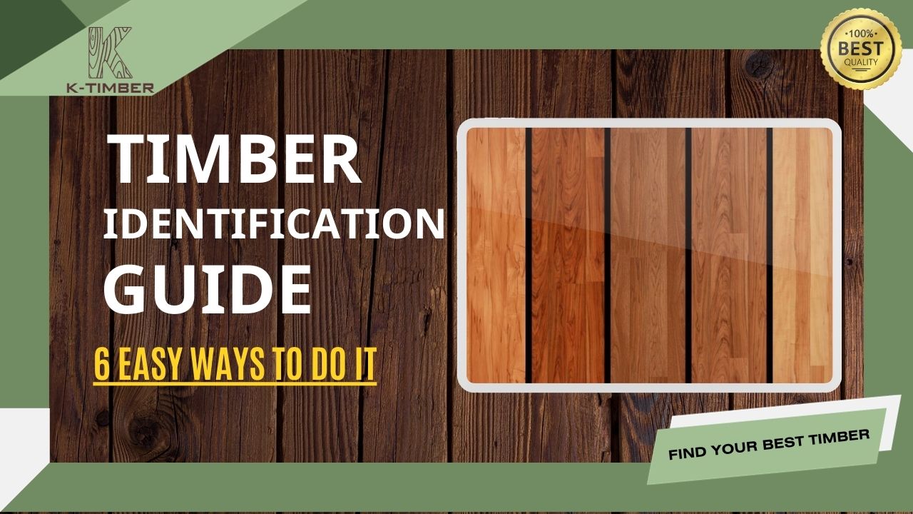 timber-identification-guide-6-easy-ways-to-do-it-1