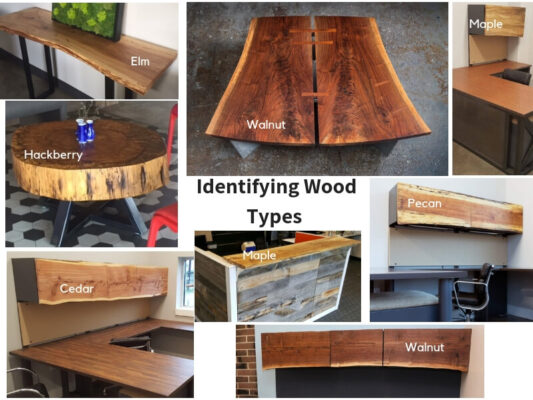 timber-identification-guide-6-easy-ways-to-do-it-7