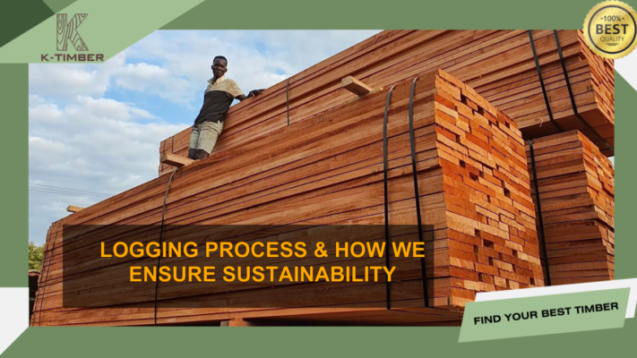 Logging Process & How We Ensure Sustainability