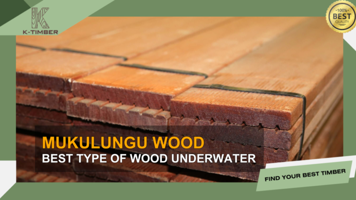 mukulungu-best-underwater-wood-5