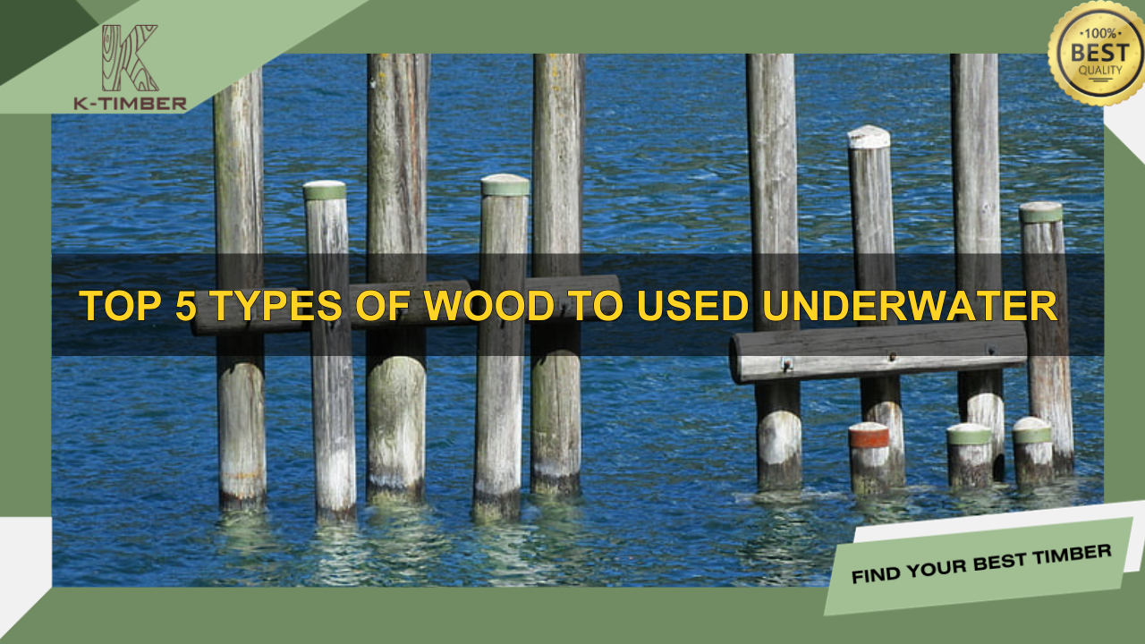 Top-5-Types-of-Wood-to-Used-Underwater