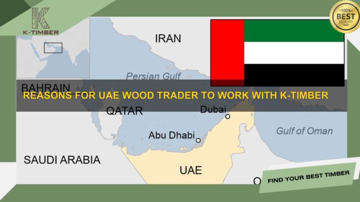 Reasons-for-UAE-Wood-Trader-to-Work-with-K-Timber