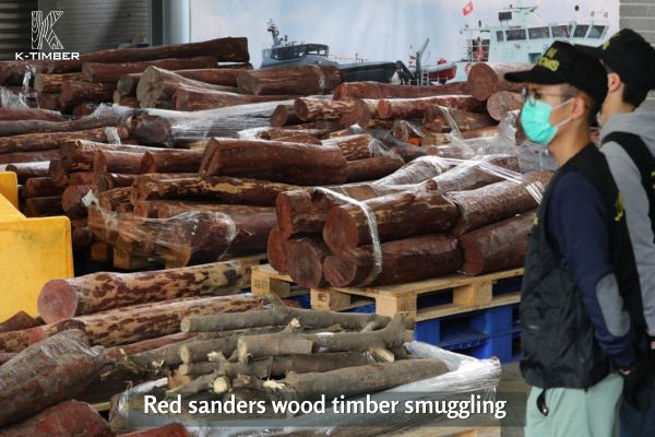 red-sanders-wood-properties-characteristics-uses-5