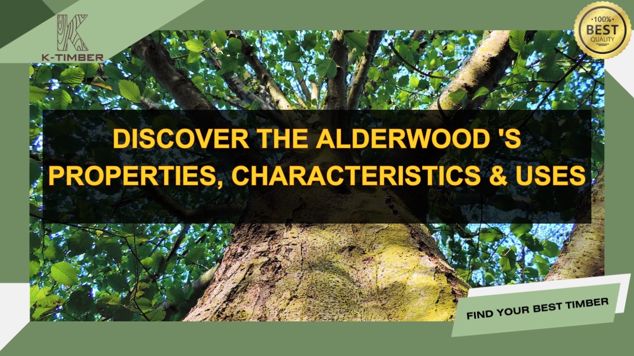 Discover the Alderwood 's properties, characteristics & uses